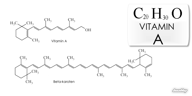 Vitamine A ou rétinol ou bêta-carotène